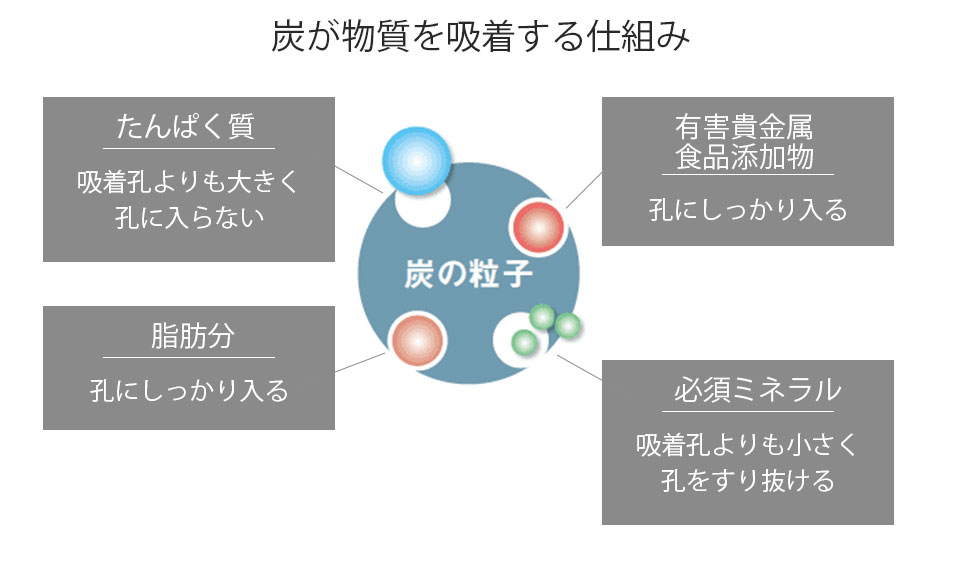 炭の吸着の仕組み